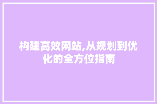 构建高效网站,从规划到优化的全方位指南
