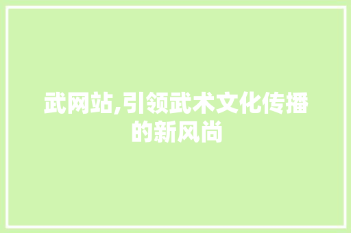 武网站,引领武术文化传播的新风尚
