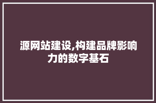 源网站建设,构建品牌影响力的数字基石
