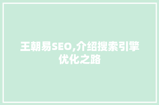 王朝易SEO,介绍搜索引擎优化之路