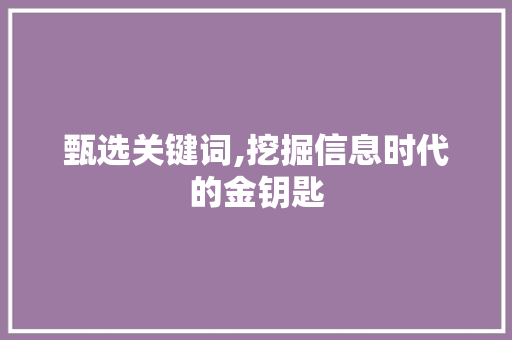 甄选关键词,挖掘信息时代的金钥匙