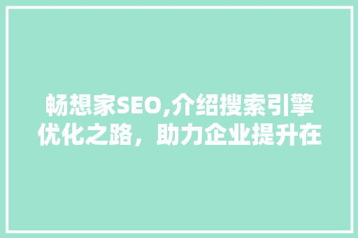 畅想家SEO,介绍搜索引擎优化之路，助力企业提升在线竞争力 360搜优化