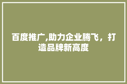 百度推广,助力企业腾飞，打造品牌新高度
