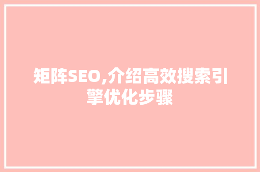矩阵SEO,介绍高效搜索引擎优化步骤 网站开发