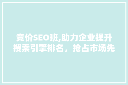 竞价SEO班,助力企业提升搜索引擎排名，抢占市场先机