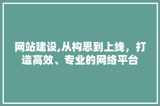 网站建设,从构思到上线，打造高效、专业的网络平台 网站开发