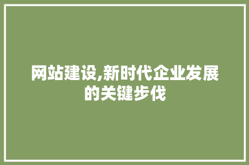 网站建设,新时代企业发展的关键步伐