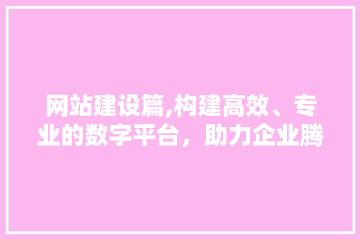 网站建设篇,构建高效、专业的数字平台，助力企业腾飞 百度算法