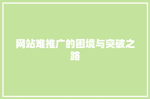 网站难推广的困境与突破之路 小程序开发