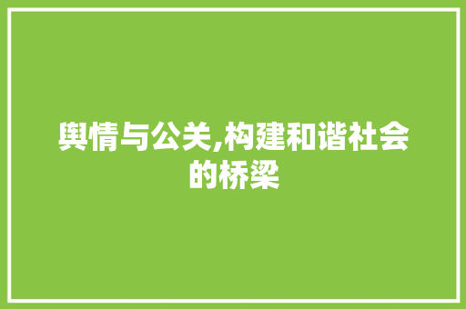 舆情与公关,构建和谐社会的桥梁
