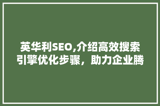 英华利SEO,介绍高效搜索引擎优化步骤，助力企业腾飞