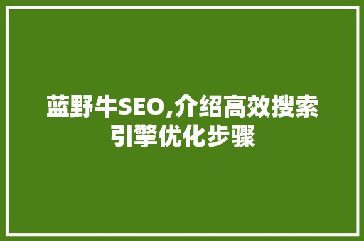 蓝野牛SEO,介绍高效搜索引擎优化步骤