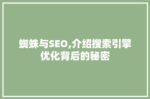 蜘蛛与SEO,介绍搜索引擎优化背后的秘密 网站优化