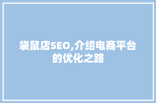袋鼠店SEO,介绍电商平台的优化之路 小程序开发