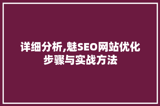 详细分析,魅SEO网站优化步骤与实战方法 百度算法