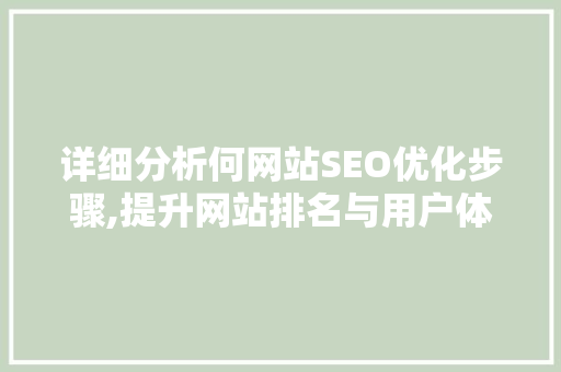 详细分析何网站SEO优化步骤,提升网站排名与用户体验 小程序开发
