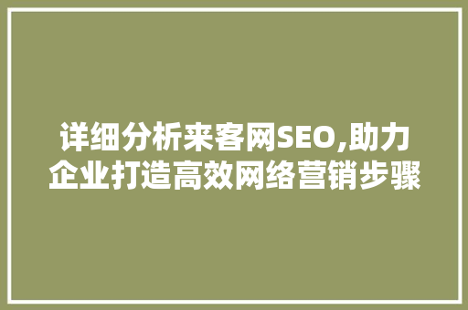 详细分析来客网SEO,助力企业打造高效网络营销步骤 网站优化
