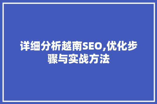 详细分析越南SEO,优化步骤与实战方法 网站开发