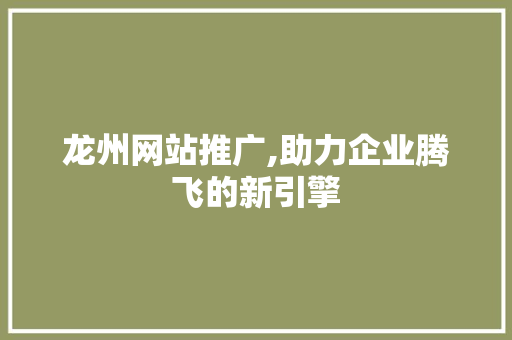 龙州网站推广,助力企业腾飞的新引擎 seo技术