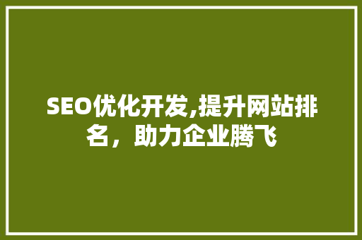 SEO优化开发,提升网站排名，助力企业腾飞