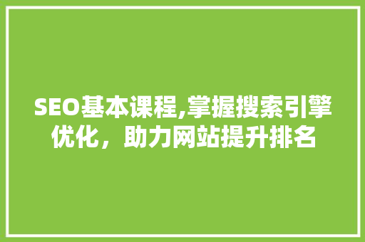 SEO基本课程,掌握搜索引擎优化，助力网站提升排名