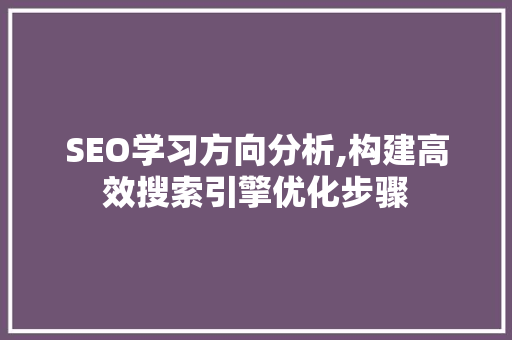 SEO学习方向分析,构建高效搜索引擎优化步骤