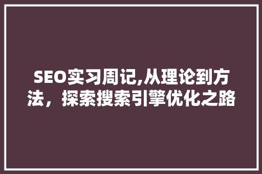 SEO实习周记,从理论到方法，探索搜索引擎优化之路