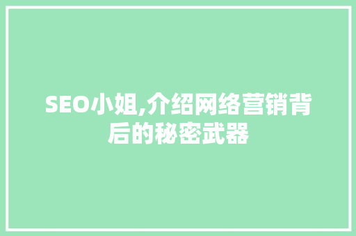 SEO小姐,介绍网络营销背后的秘密武器