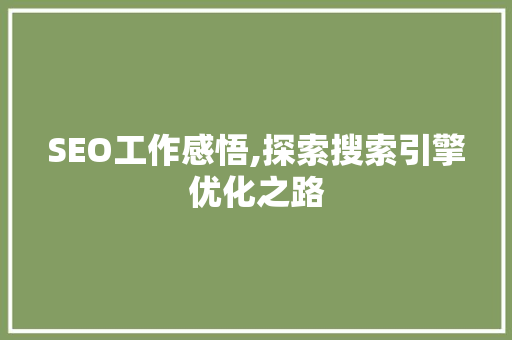 SEO工作感悟,探索搜索引擎优化之路