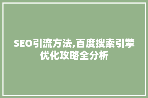SEO引流方法,百度搜索引擎优化攻略全分析