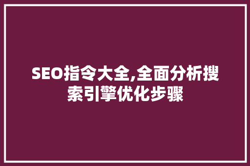 SEO指令大全,全面分析搜索引擎优化步骤