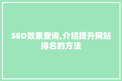 SEO效果查询,介绍提升网站排名的方法