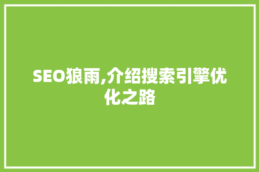 SEO狼雨,介绍搜索引擎优化之路