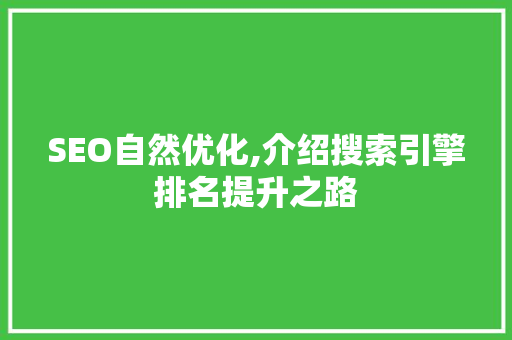 SEO自然优化,介绍搜索引擎排名提升之路