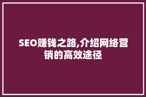 SEO赚钱之路,介绍网络营销的高效途径