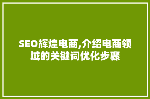 SEO辉煌电商,介绍电商领域的关键词优化步骤