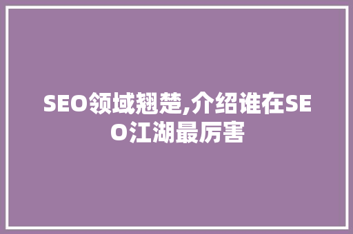 SEO领域翘楚,介绍谁在SEO江湖最厉害 百度算法