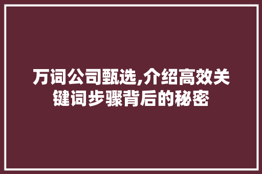 万词公司甄选,介绍高效关键词步骤背后的秘密