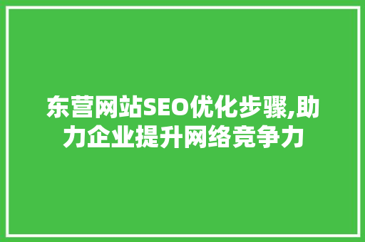东营网站SEO优化步骤,助力企业提升网络竞争力