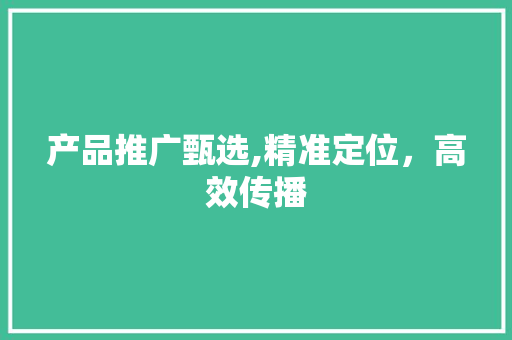 产品推广甄选,精准定位，高效传播