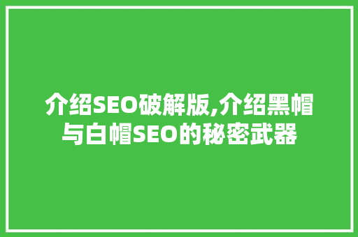 介绍SEO破解版,介绍黑帽与白帽SEO的秘密武器 网站开发