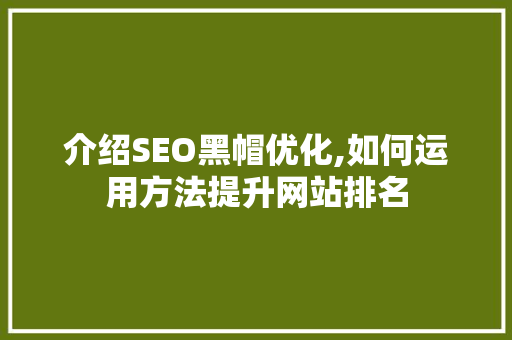 介绍SEO黑帽优化,如何运用方法提升网站排名