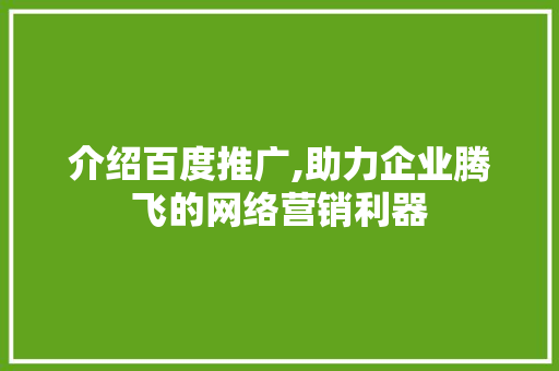 介绍百度推广,助力企业腾飞的网络营销利器