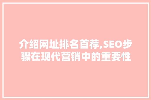 介绍网址排名首荐,SEO步骤在现代营销中的重要性