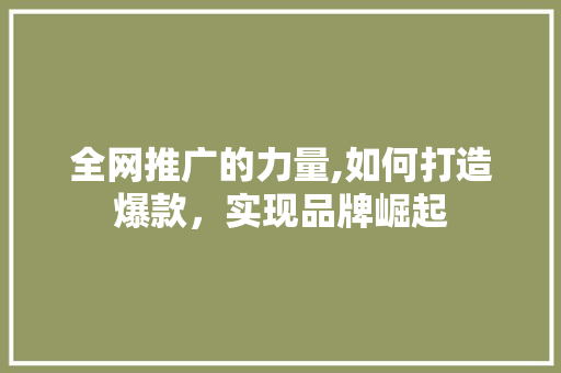 全网推广的力量,如何打造爆款，实现品牌崛起