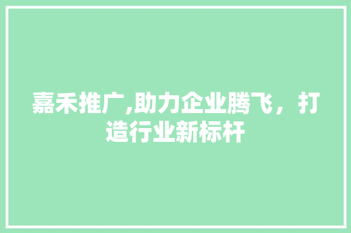 嘉禾推广,助力企业腾飞，打造行业新标杆