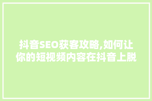 抖音SEO获客攻略,如何让你的短视频内容在抖音上脱颖而出