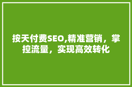 按天付费SEO,精准营销，掌控流量，实现高效转化