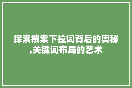 探索搜索下拉词背后的奥秘,关键词布局的艺术