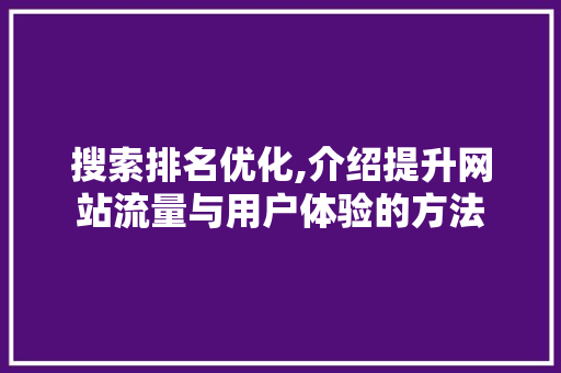 搜索排名优化,介绍提升网站流量与用户体验的方法